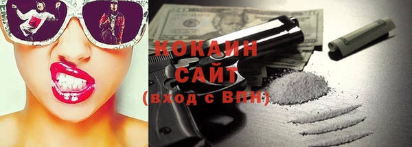 гидра Краснослободск