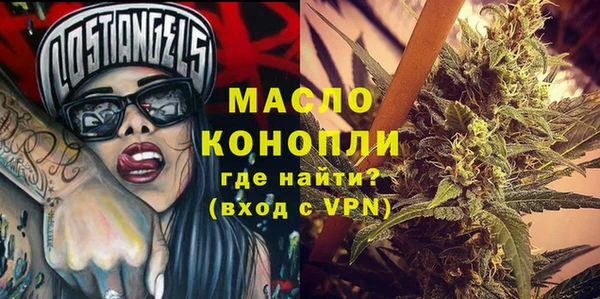 гидра Краснослободск